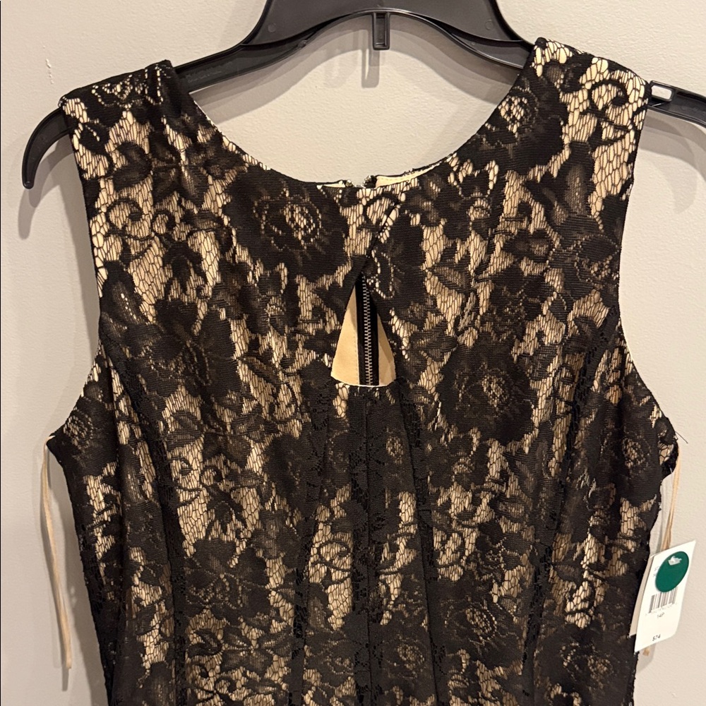 Sleeveless Black Lace Overlay Dress with Nude Lining - Picture 3 of 6
